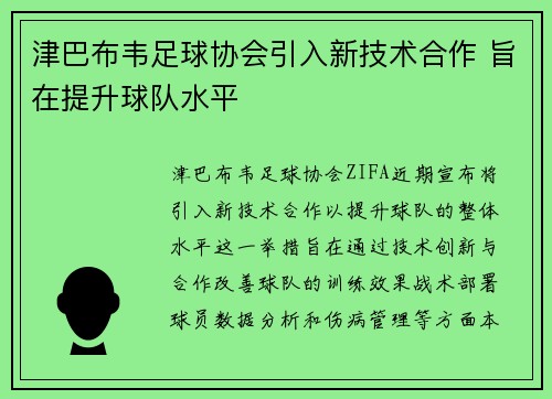 津巴布韦足球协会引入新技术合作 旨在提升球队水平